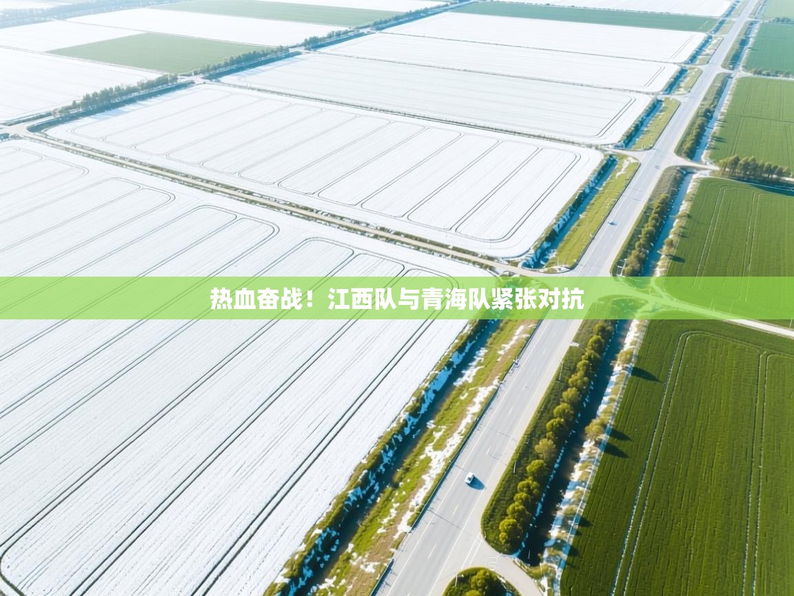 海星体育官方网站-热血奋战!江西队与青海队紧张对抗  第2张