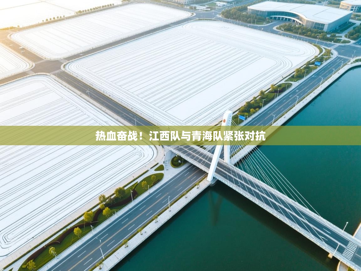 海星体育官方网站-热血奋战!江西队与青海队紧张对抗  第3张