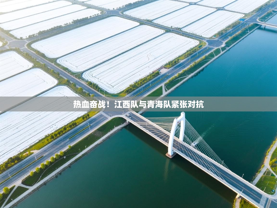 海星体育官方网站-热血奋战!江西队与青海队紧张对抗  第4张