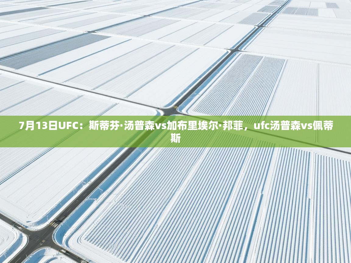 海星体育直播-7月13日UFC:斯蒂芬·汤普森vs加布里埃尔·邦菲,ufc汤普森vs佩蒂斯 第3张