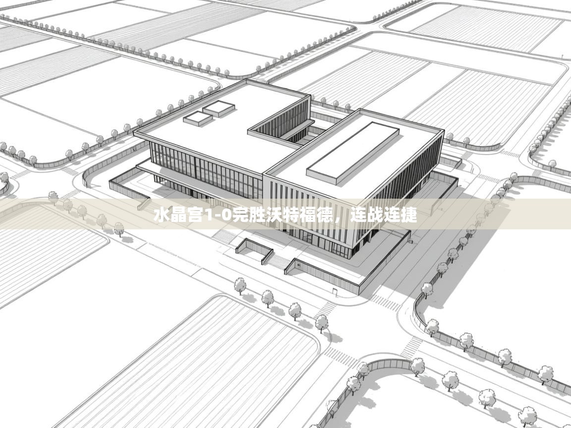 海星体育app下载-水晶宫1-0完胜沃特福德，连战连捷  第2张