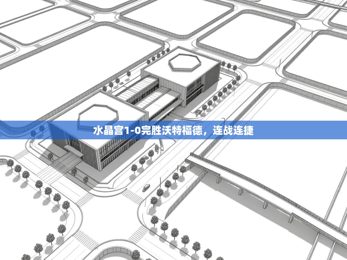 海星体育app下载-水晶宫1-0完胜沃特福德，连战连捷  第3张