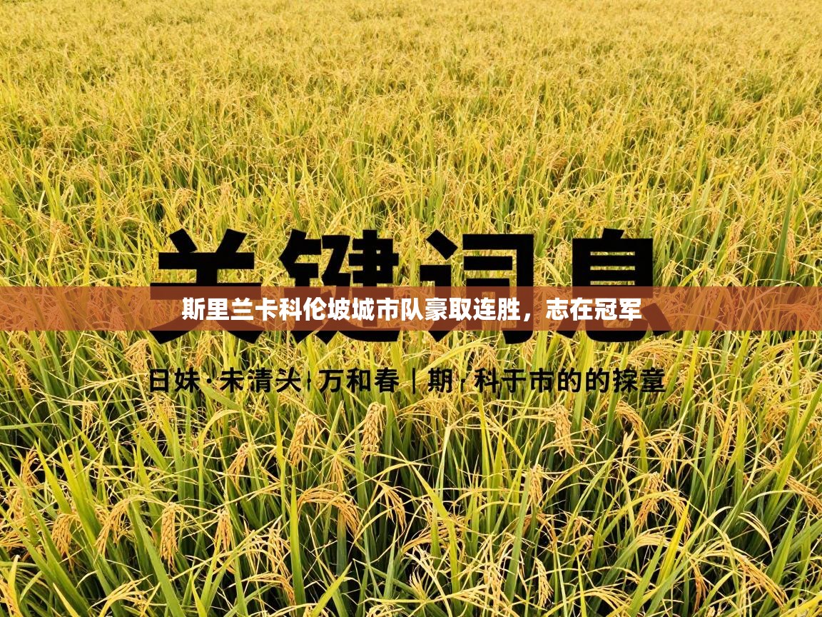 海星体育直播平台-斯里兰卡科伦坡城市队豪取连胜，志在冠军